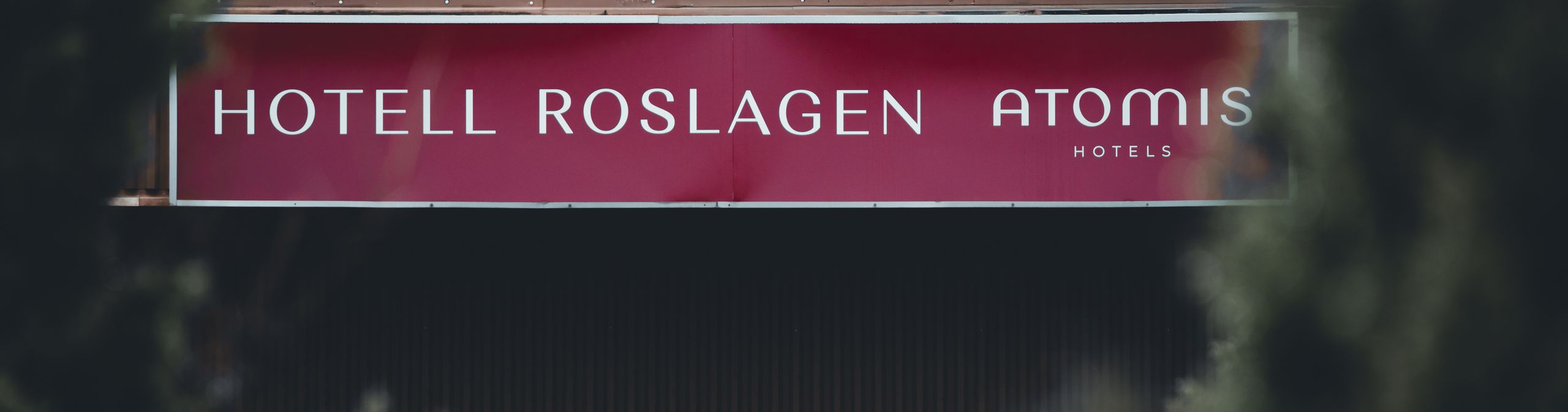 Незабываемый отдых в Карпатах