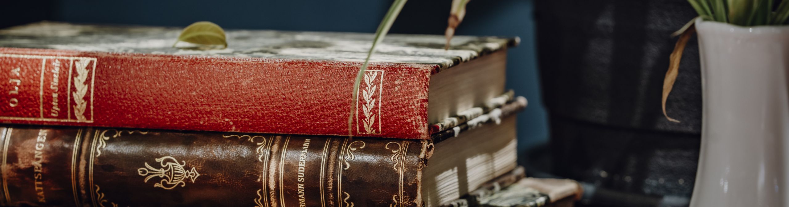 Незабываемый отдых в Карпатах