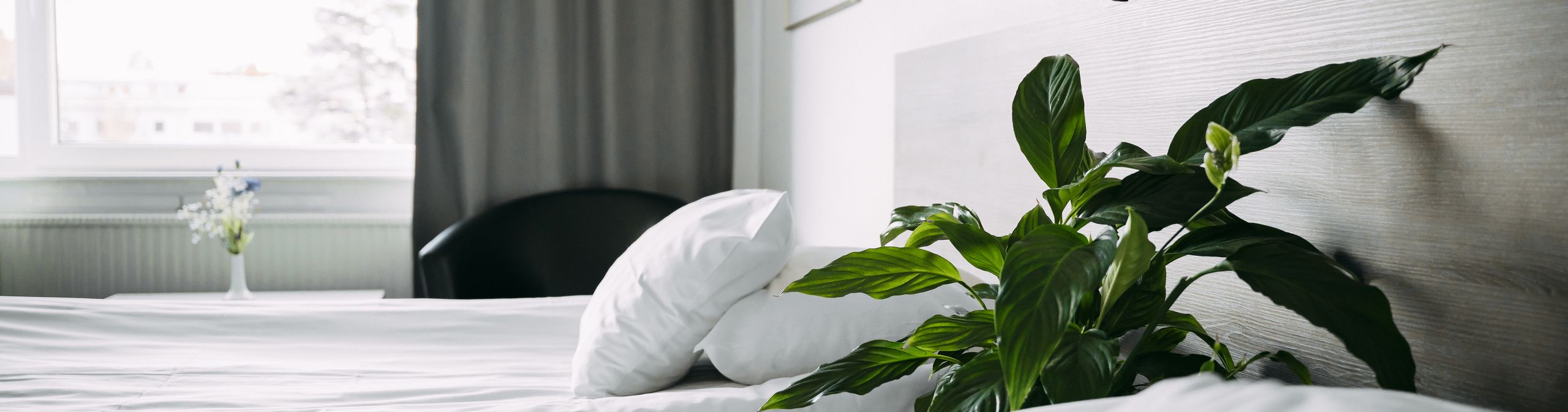 Незабываемый отдых в Карпатах